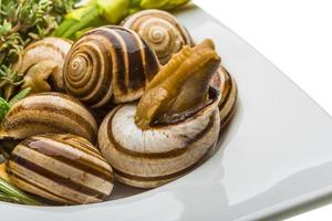 escargot con asparagi, rosmarino, timo e pomodoro foto