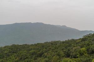 giungla cinese, isola di hainan foto