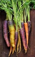 carote fresche arcobaleno organico