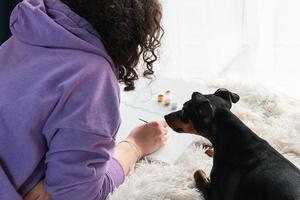 la donna adulta che dipinge con i numeri all'interno, il suo pincher in miniatura da compagnia vicino. persone con animali domestici. foto