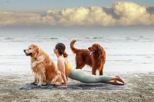 giovane donna che fa yoga e guarda il suo cane sulla spiaggia. concetto di stile di vita attivo sano. relax con un animale domestico. foto