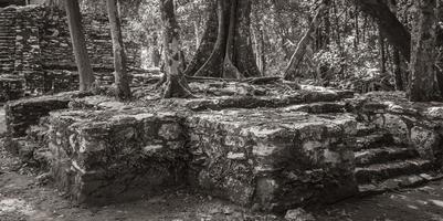 antico sito maya con rovine di templi piramidi manufatti muyil messico. foto