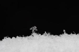 strutture delicate in neve su nero foto