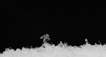 strutture delicate nel panorama nero come la neve foto