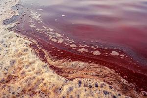 acqua di mare nella fattoria del sale. agricoltura in Thailandia. processo di ritenzione dell'acqua per 3 mesi per aumentare la concentrazione di sale nella salina. acqua di mare in vendita all'allevamento di gamberetti per la produzione di acqua salmastra. foto