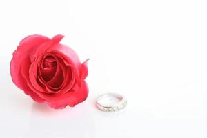 rosa rossa con anello
