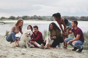 tutti si divertono. un gruppo di persone fa un picnic sulla spiaggia. gli amici si divertono durante il fine settimana foto