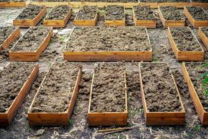 il terreno in vaso di fiori rettangolare è preparato per la semina di ortaggi nostrani in giardino. foto