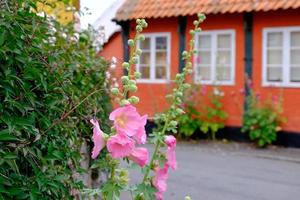 l'isola di Bornholm foto