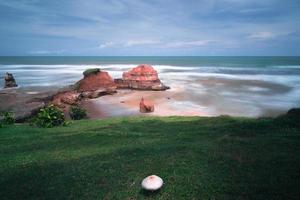 vista spiaggia ed erba verde con funghi foto