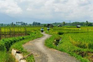 infrastrutture stradali del villaggio in agricoltura e risaie a bengkulu, indonesia foto