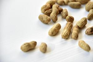 arachidi in un guscio su sfondo bianco foto
