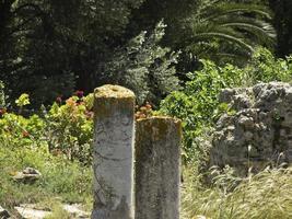 la città di tunisi in tunisia foto