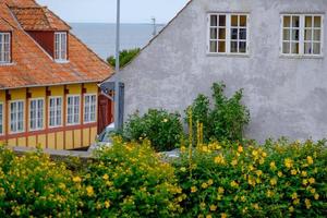 svaneke sull'isola di Bornholm foto