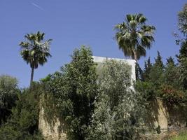 la città di tunisi in tunisia foto