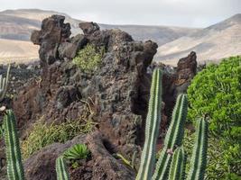 isola di lanzarote in spagna foto