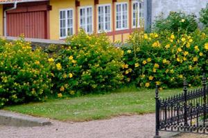 l'isola di Bornholm foto