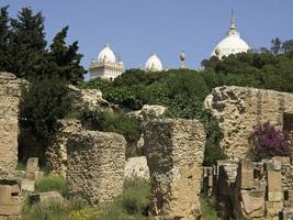 la città di tunisi in tunisia foto