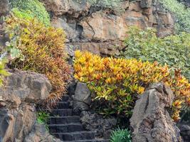 le isole canarie lanzarote in spagna foto