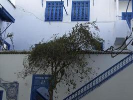 la città di tunisi in tunisia foto