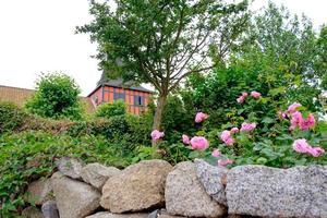 svaneke sull'isola di Bornholm foto