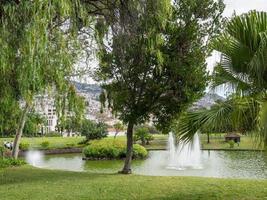 isola di Madera in Portogallo foto