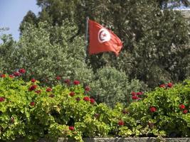 la città di tunisi in tunisia foto