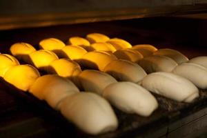 pane in forno.