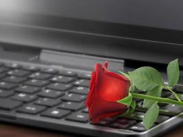 rosa rossa sulla tastiera del laptop, concetto di San Valentino foto