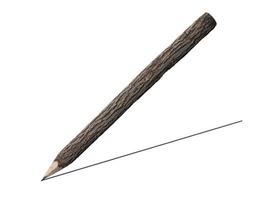 matita ramo su sfondo bianco foto