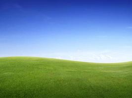 campo di erba verde verde e cielo blu brillante foto