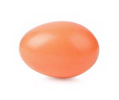 uovo di gallina isolato su sfondo bianco foto
