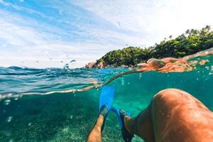 palma tropicale dell'isola e sott'acqua, snorkeling nel mare foto