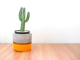 fioriera moderna colorata in cemento con piante di cactus. vaso in cemento dipinto per la decorazione domestica foto