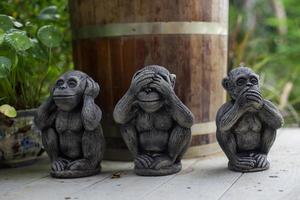 le tre scimmie sagge tre scimmie mistiche non vedono il male non sentono il male non parlano il male foto