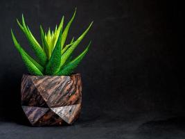 fioriera in cemento geometrica dipinta con motivo in legno marrone con pianta succulenta. vasi in cemento dipinto per la decorazione domestica foto