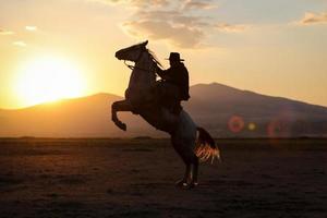 allevamento di cavalli in campo kayseri, turchia foto