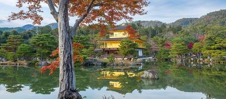 bellissimo del tempio kinkakuji o del padiglione d'oro nella stagione del fogliame autunnale, punto di riferimento e famoso per le attrazioni turistiche a kyoto, kansai, giappone foto