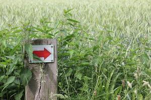 nord tedesco freccia rossa segno direzionale prato foresta natura germania. foto