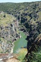 impressionanti scogliere rocciose lungo il fiume Douro o Duero. foto