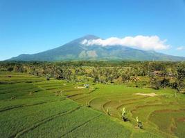 bella vista aerea-turismo agricolo di montagna, in java-indonesia occidentale foto