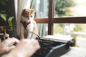 Ritratto dell'animale domestico di un simpatico gatto marrone sul tavolo del caffè, bella pelliccia bianca gattino mammifero animale concetto di sfondo, adorabile viso soffice e bei occhi soriano foto