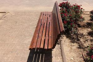 panchina per riposare in un parco cittadino sulla costa mediterranea nel nord di Israele foto