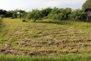 paesaggio naturale nel nord di Israele foto