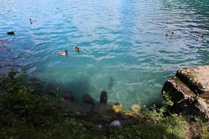 bellissime sponde del lago sanguinante in slovenia foto