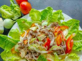 colorato di insalata di manzo foto