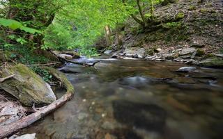 specchi d'acqua, torrente Endert, germania foto