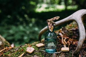 le bottiglie di vetro sono piene di ingredienti magici, pozione. foresta misteriosa. foto