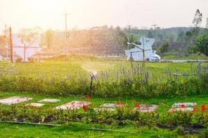 campo verde acqua di primavera e fiori con giardino acquatico di primavera in primavera estate e tramonto foto