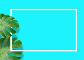 monstera verde tropicale lascia la natura su sfondo blu con design a cornice foto